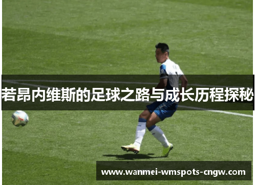 若昂内维斯的足球之路与成长历程探秘